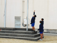DSCN7747