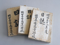 DSCN6972