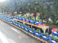 pict-DSCN7043