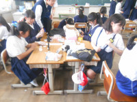 DSCN7754