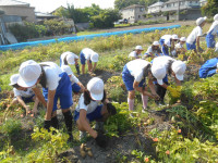 DSCN8026