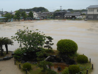 DSCN8099