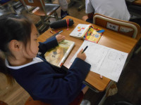 DSCN8161