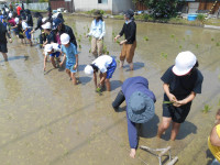 DSCN0087