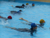 DSCN8484