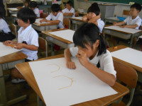 DSCN8585