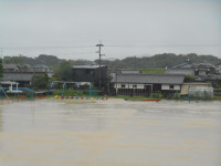 DSCN8619