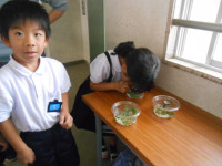 DSCN8723