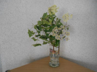 DSCN9027