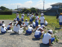 DSCN9076