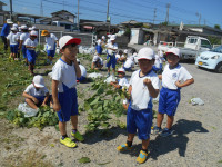 DSCN9080