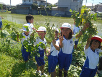 DSCN9084