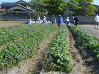 DSCN8558