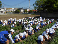 DSCN8565