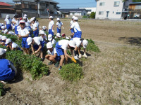 DSCN8570