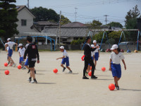 DSCN5968