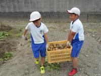 DSCN8705
