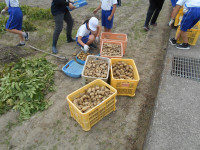 DSCN8714