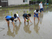 DSCN8787