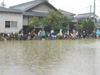 DSCN8802