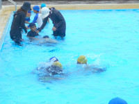 DSCN4049