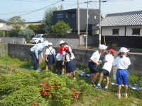 DSCN4304