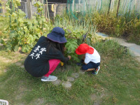 DSCN4307