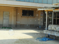 DSCN4368