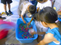 DSCN4502