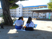 DSCN4847