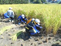 DSCN5005