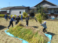 DSCN5046