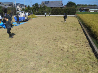 DSCN5057