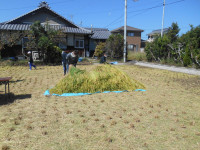 DSCN5060