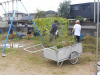 DSCN0242