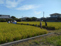 DSCN0080