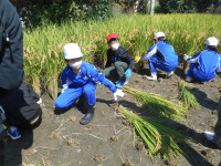 DSCN0147
