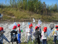 DSCN0265